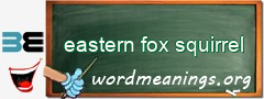 WordMeaning blackboard for eastern fox squirrel